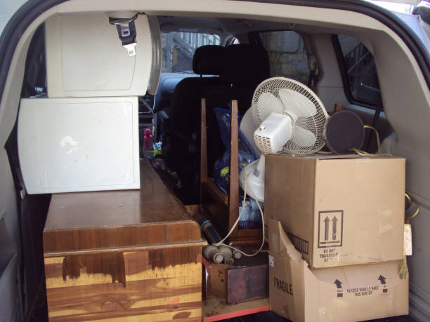 Best Seasonal Junk Removal in West Wyomissing, PA